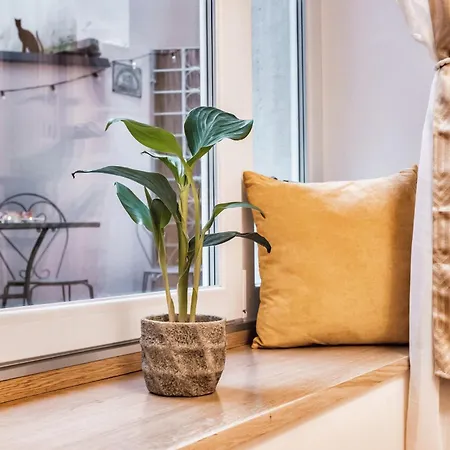 Casa Saba Luxury * 的里雅斯特